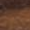 Struktur Wenge Struktur Wenge